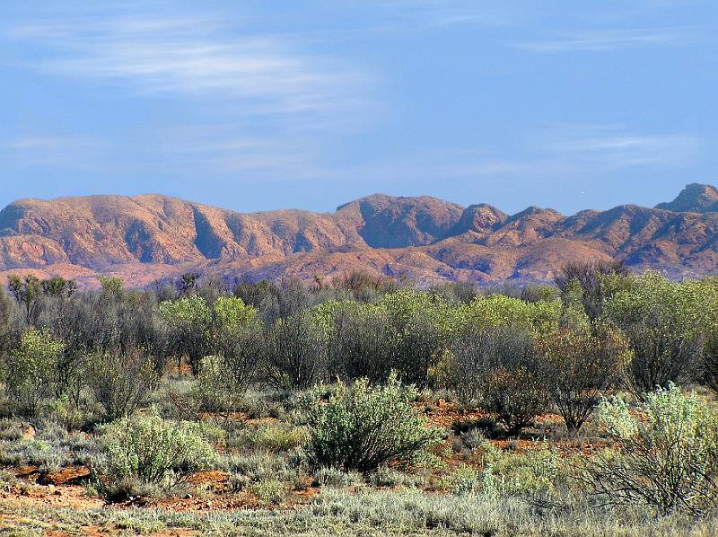 West Mc Donell Range.jpg - Die roten Felsen, die häufig von Tälern und Schluchten unterbrochen werden, sind typisch für die MacDonnell Ranges.